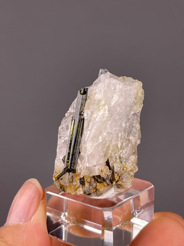 Tourmaline with quartz from Brazil: tilted view of a linear dark crystal in pale quartz.