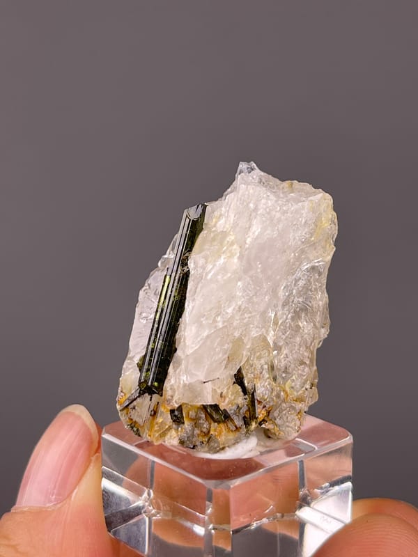 Tourmaline with quartz from Brazil: close front angle of the dark prism and white granular host.