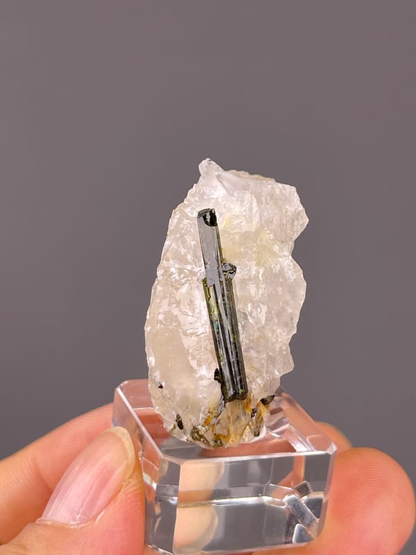 Tourmaline with quartz from Brazil: reverse angle with a shorter exposed dark linear face.