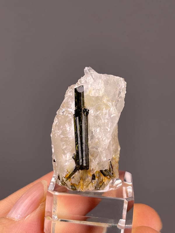 Tourmaline with quartz from Brazil: front view of two dark parallel lines across pale quartz.