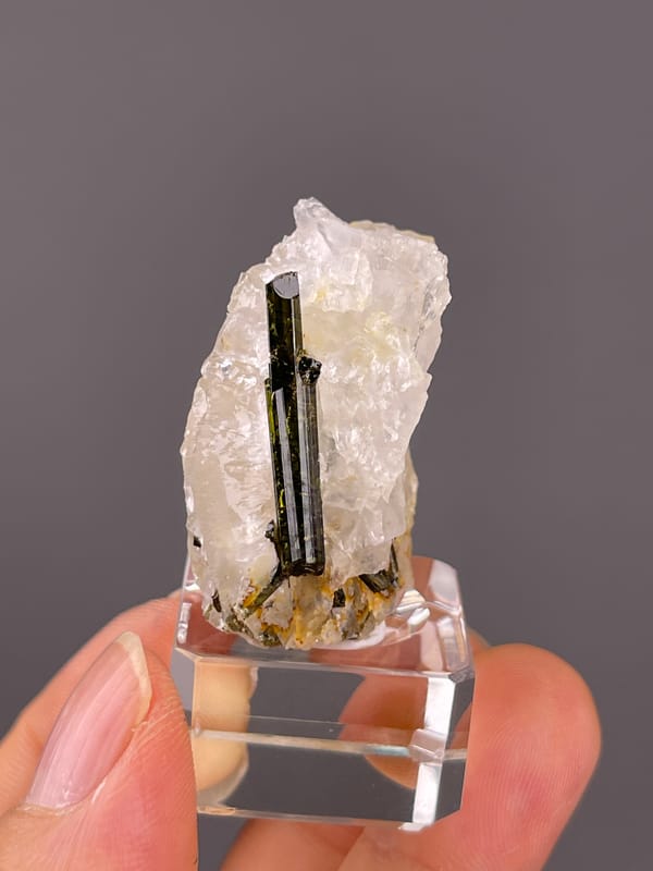 Tourmaline with quartz from Brazil: whole upright association with dark fragments near the base.