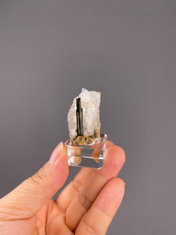 Tourmaline with quartz from Brazil: distant view of the slender white quartz outline.