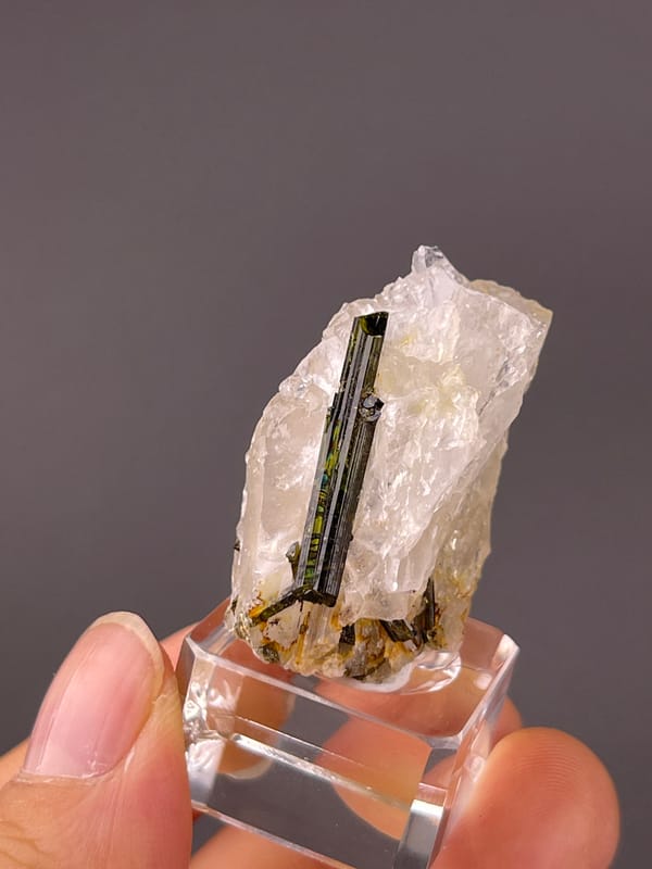 Tourmaline with quartz from Brazil: angled full view showing a long dark crystal within pale quartz.