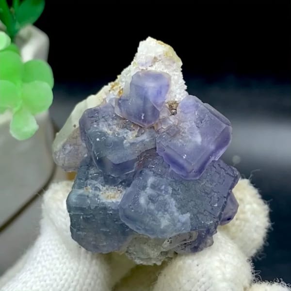 Muted blue-and-violet fluorite cubes on grey matrix from Fujian, China