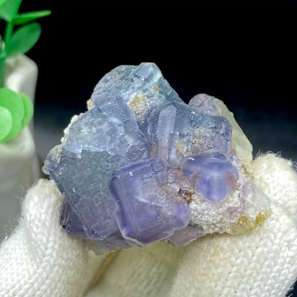 Muted blue-and-violet fluorite cubes on grey matrix from Fujian, China, view 2 of 9