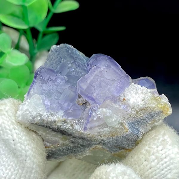 Muted blue-and-violet fluorite cubes on grey matrix from Fujian, China, view 5 of 9
