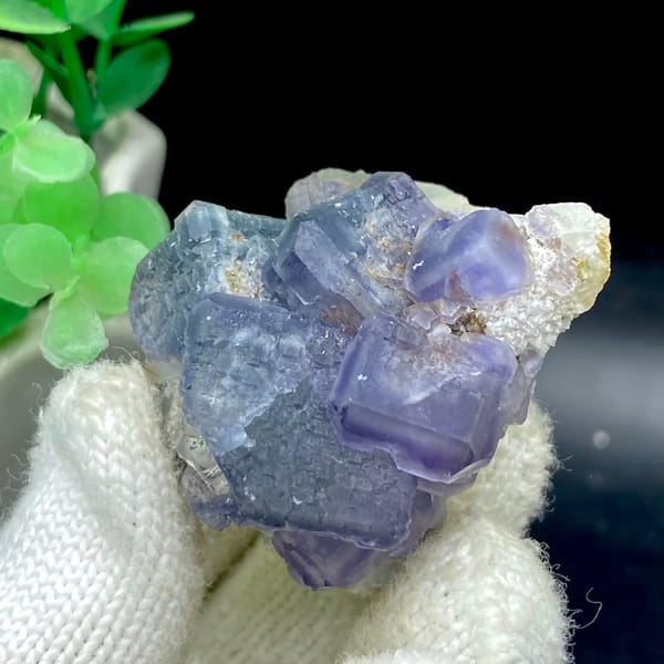 Muted blue-and-violet fluorite cubes on grey matrix from Fujian, China, view 8 of 9