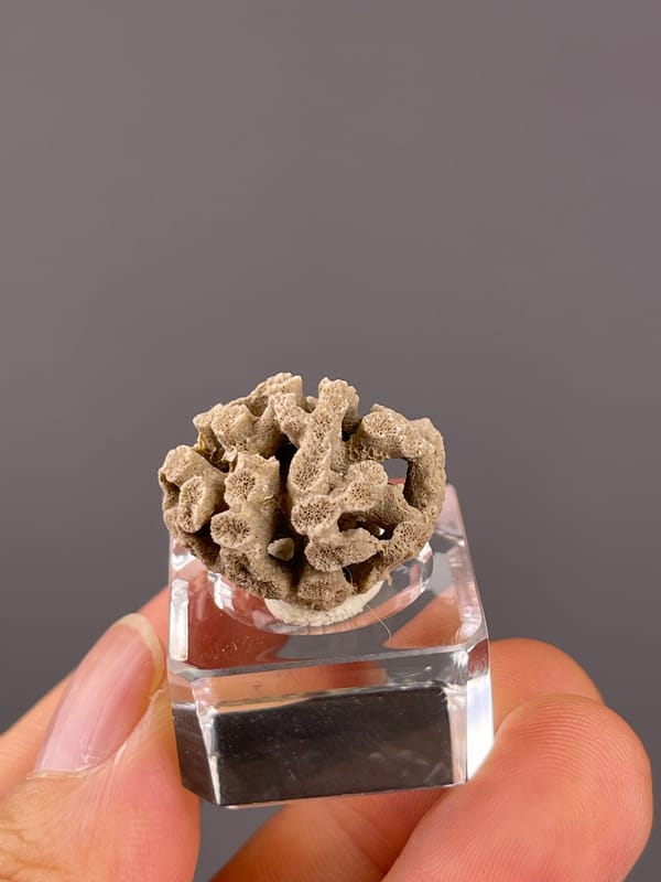 Unidentified specimen from China: top angle revealing open spaces through the rounded specimen.
