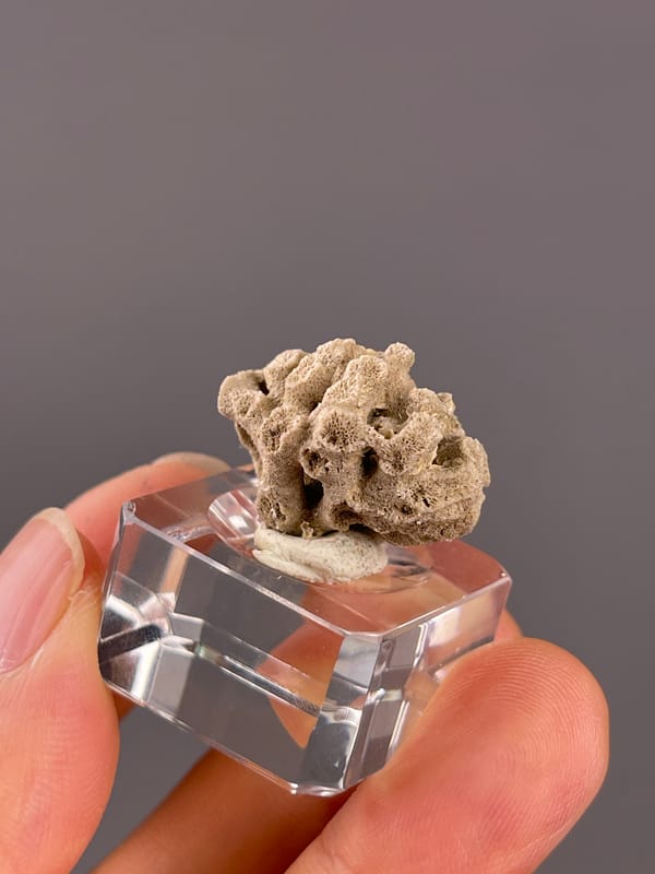Unidentified specimen from China: angled side showing rough granular texture around cavities.