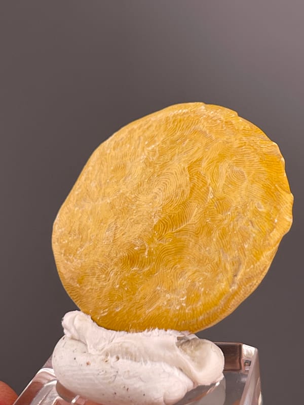Unidentified specimen from China: close angled view of pale winding lines and uneven edge.