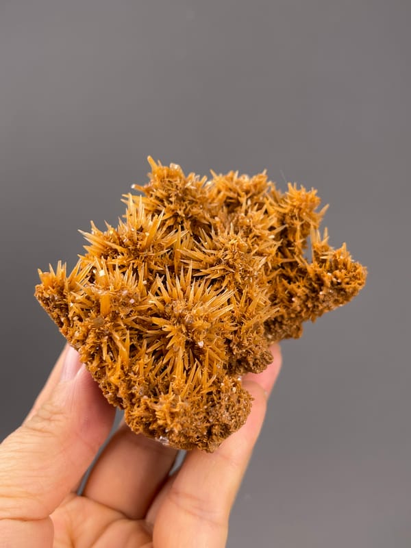 Unidentified specimen from Yunnan, China: oblique view of projecting narrow golden brown growths.