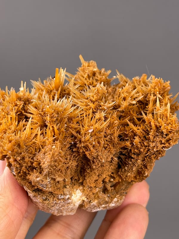 Unidentified specimen from Yunnan, China: close view of the bristling upper outline.