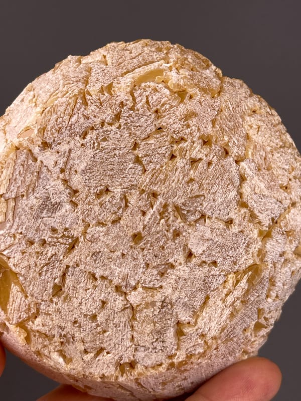 Unidentified specimen from Yunnan, China: rough pale reverse with shallow angular impressions.