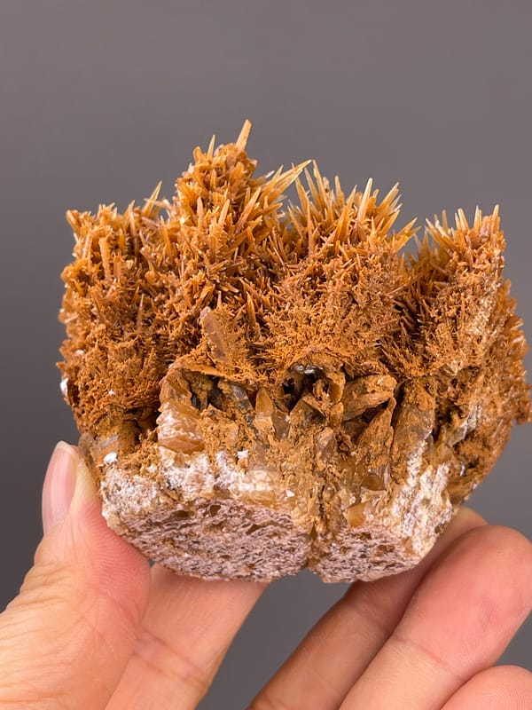 Unidentified specimen from Yunnan, China: lower side exposing pale matrix beneath brown sprays.