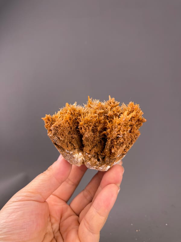 Unidentified specimen from Yunnan, China: whole specimen with several pointed upper lobes.