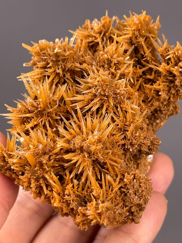 Unidentified specimen from Yunnan, China: close view of crossing narrow orange brown crystals.