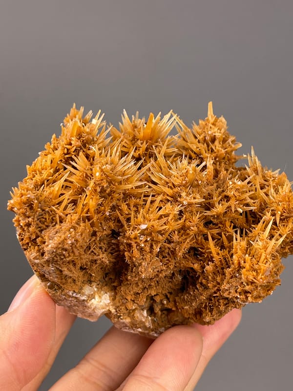 Unidentified specimen from Yunnan, China: wide front view showing multiple radiating sprays.