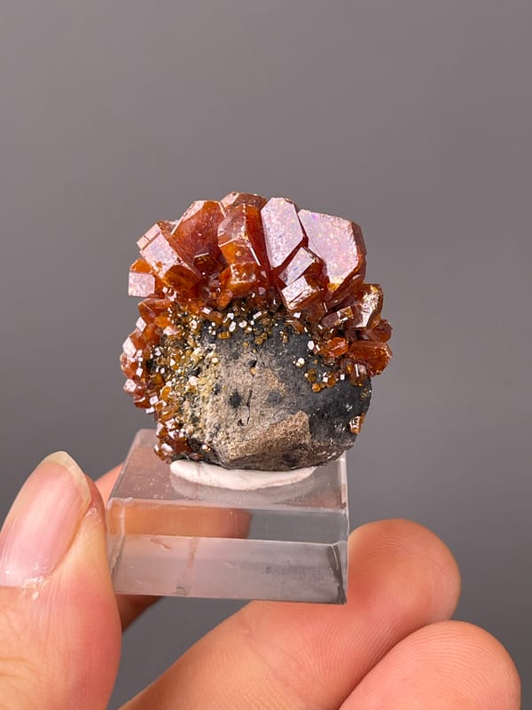 Vanadinite specimen from Morocco showing orange-red hexagonal tabular crystals