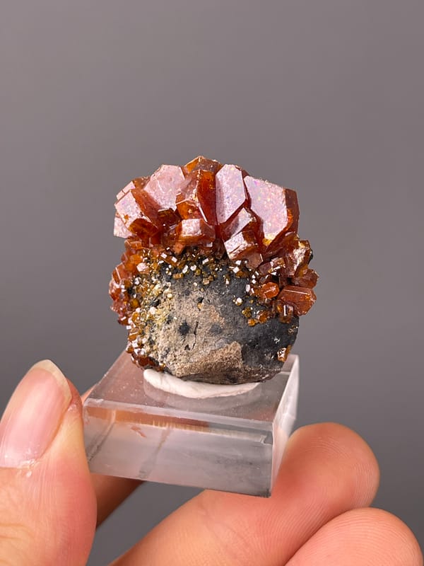 Vanadinite specimen from Morocco, defined by orange-red hexagonal tabular crystals
