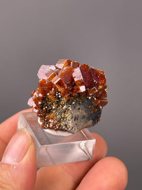 Vanadinite specimen from Morocco presenting orange-red hexagonal tabular crystals