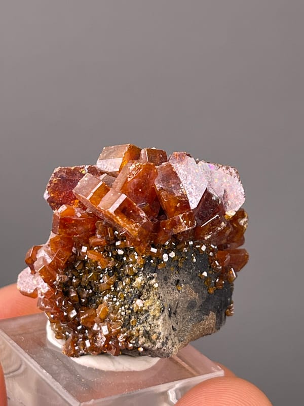 Orange-red hexagonal tabular crystals visible on vanadinite specimen from Morocco