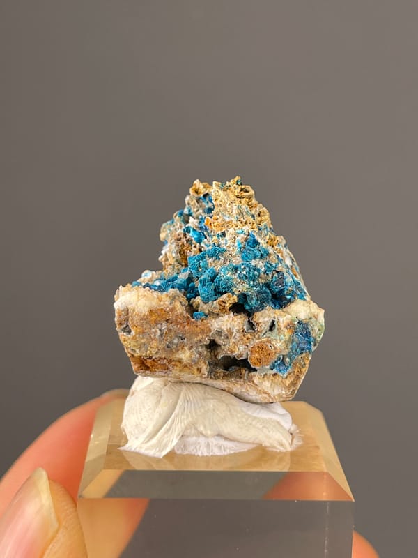 Veszelyite specimen from Dongchuan, Yunnan, China featuring vivid blue botryoidal crust