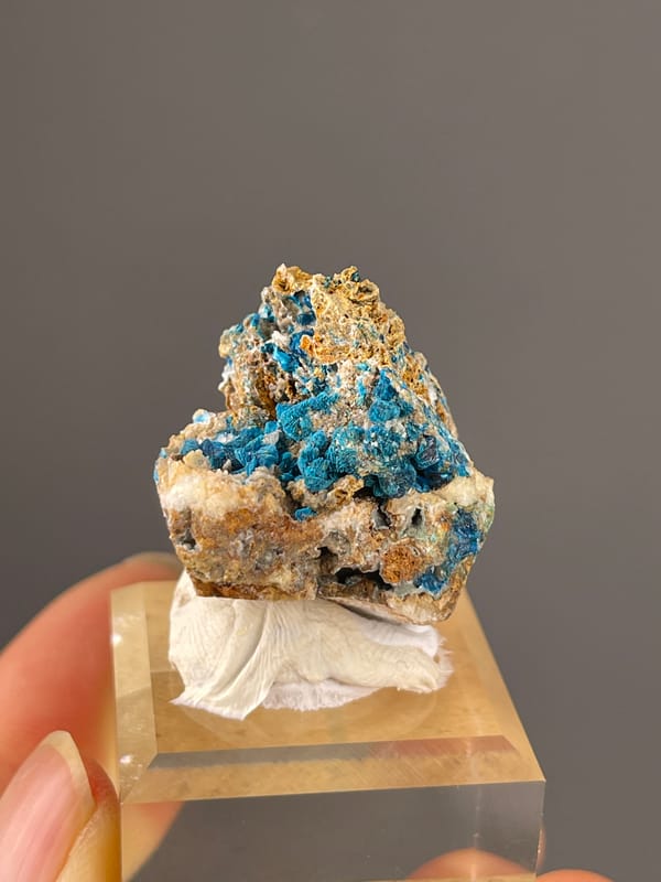 Veszelyite specimen from Dongchuan, Yunnan, China, defined by vivid blue botryoidal crust
