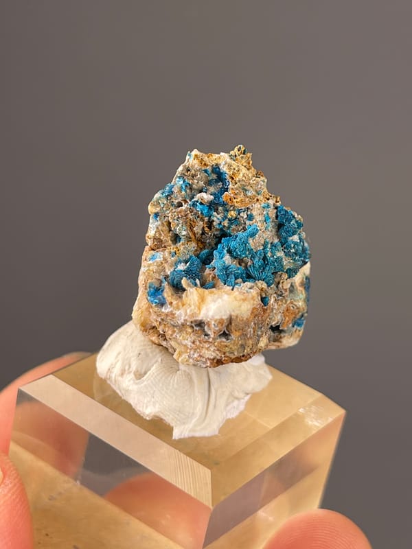 Vivid blue botryoidal crust visible on veszelyite specimen from Dongchuan, Yunnan, China