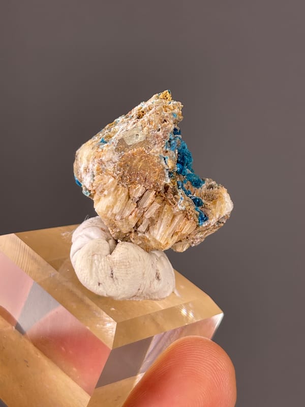Veszelyite specimen from Dongchuan, Yunnan, China displaying vivid blue botryoidal crust