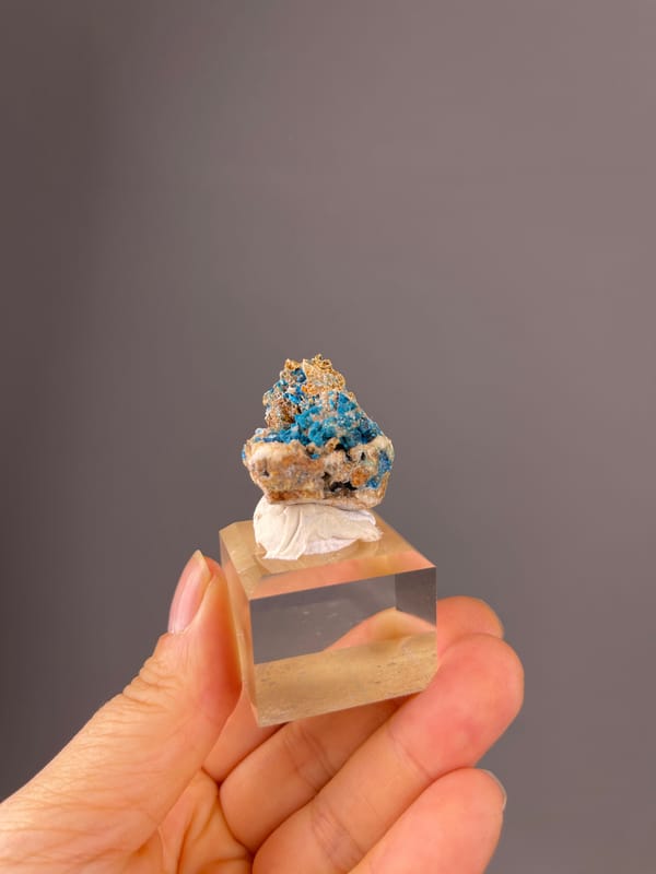 Vivid blue botryoidal crust on natural veszelyite specimen from Dongchuan, Yunnan, China