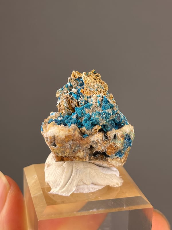 Veszelyite specimen from Dongchuan, Yunnan, China bearing vivid blue botryoidal crust