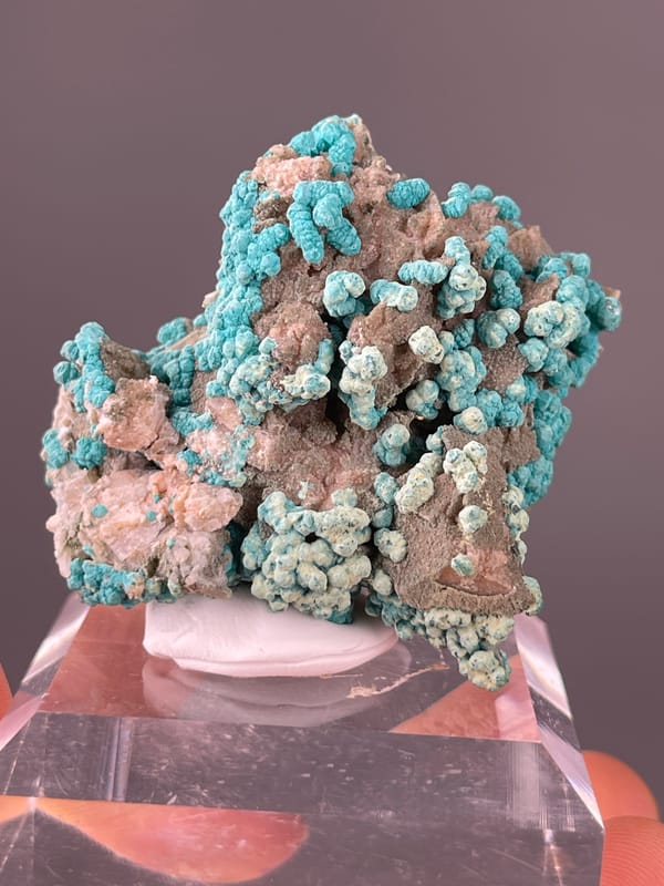 Veszelyite specimen from Hubei, China showing blue-green botryoidal crusts