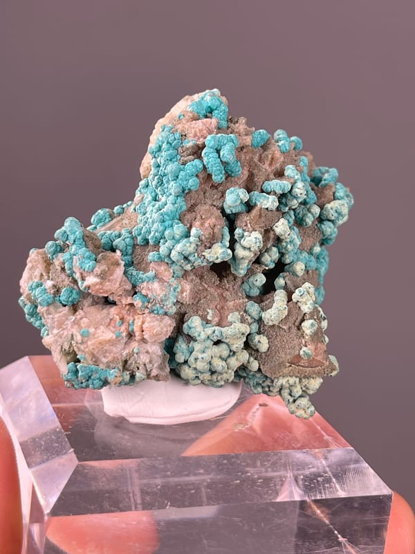 Veszelyite specimen from Hubei, China presenting blue-green botryoidal crusts
