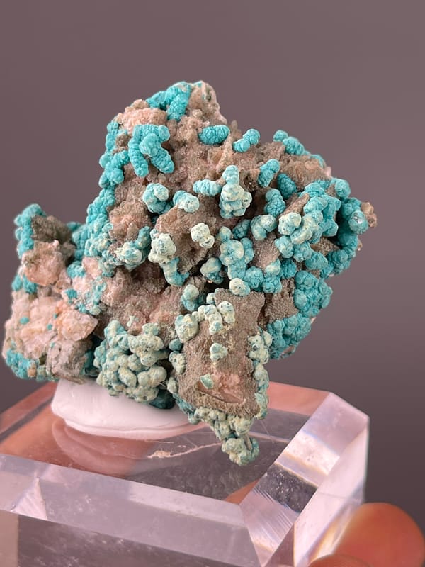 Blue-green botryoidal crusts visible on Veszelyite specimen from Hubei, China