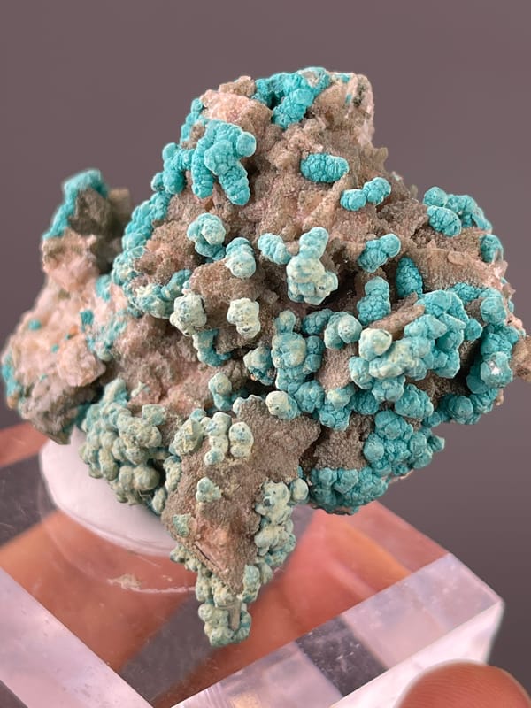 Veszelyite specimen from Hubei, China displaying blue-green botryoidal crusts