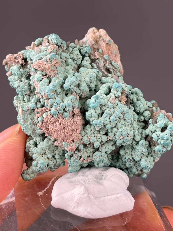Blue-green botryoidal crusts on natural Veszelyite specimen from Hubei, China