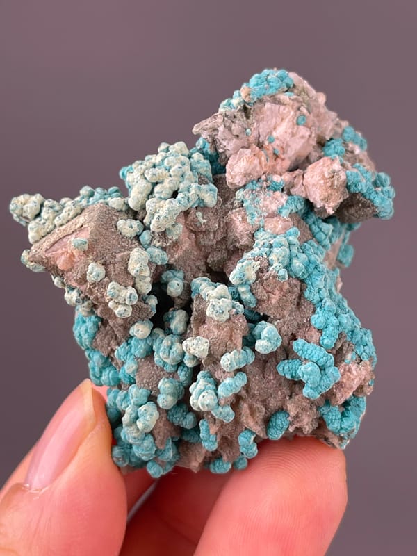 Veszelyite specimen from Hubei, China highlighting blue-green botryoidal crusts