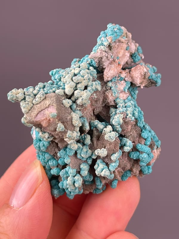 Veszelyite specimen from Hubei, China bearing blue-green botryoidal crusts