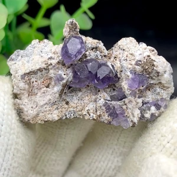 Transparent violet fluorite cubes on pale plate from Fujian, China