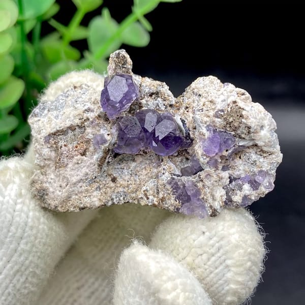 Transparent violet fluorite cubes on pale plate from Fujian, China, view 2 of 9