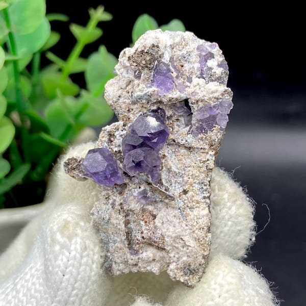 Transparent violet fluorite cubes on pale plate from Fujian, China, view 3 of 9