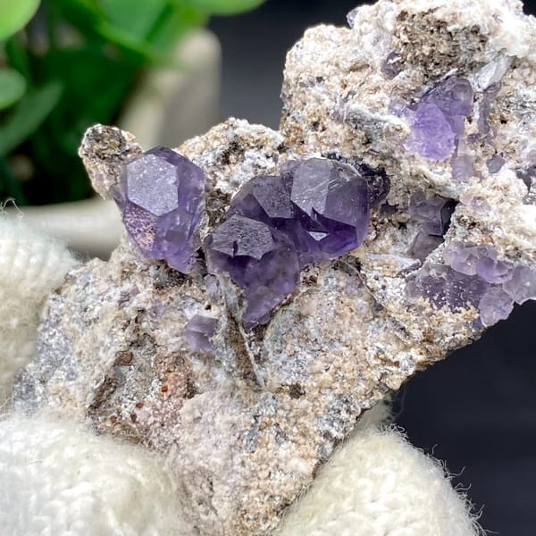 Transparent violet fluorite cubes on pale plate from Fujian, China, view 4 of 9