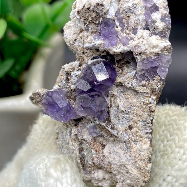 Transparent violet fluorite cubes on pale plate from Fujian, China, view 6 of 9