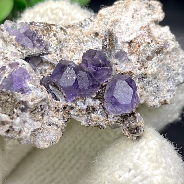 Transparent violet fluorite cubes on pale plate from Fujian, China, view 7 of 9