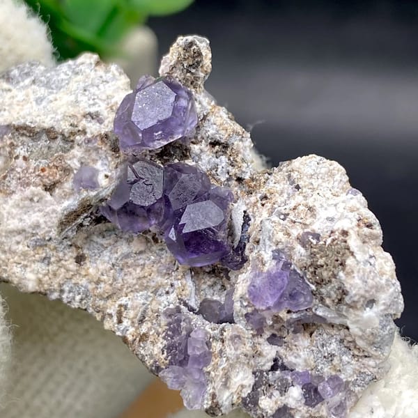 Transparent violet fluorite cubes on pale plate from Fujian, China, view 8 of 9