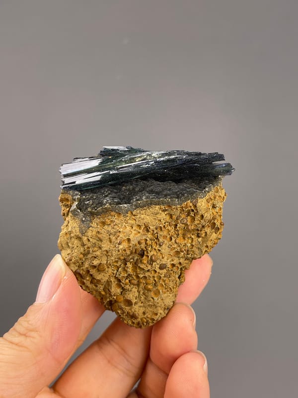 Vivianite from Brazil: dark parallel blades above ochre porous matrix.