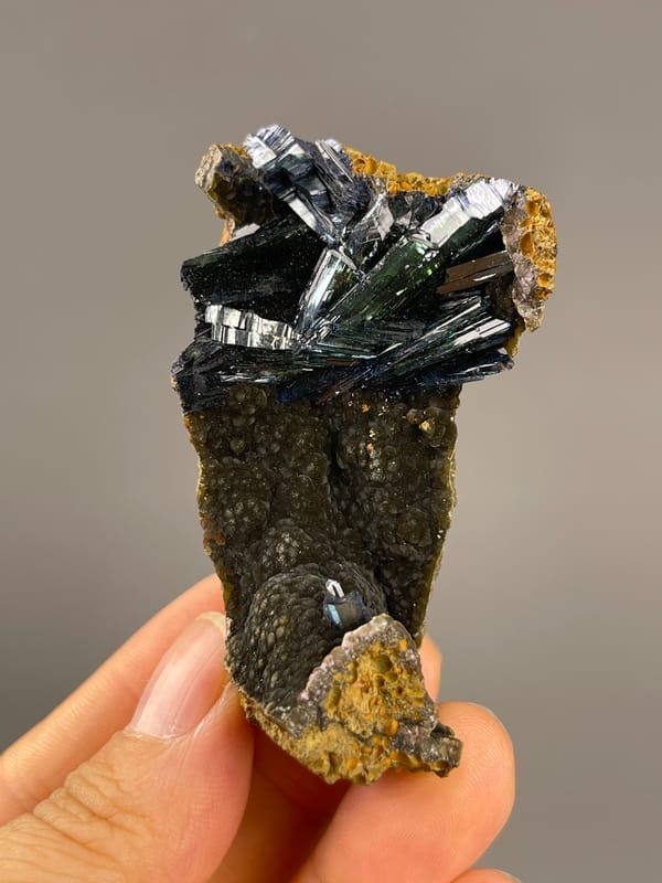 Vivianite from Brazil: dark green crystal spray on curved brown matrix.