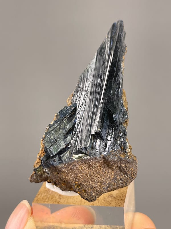 Vivianite from Brazil: upright dark blades on brown matrix.