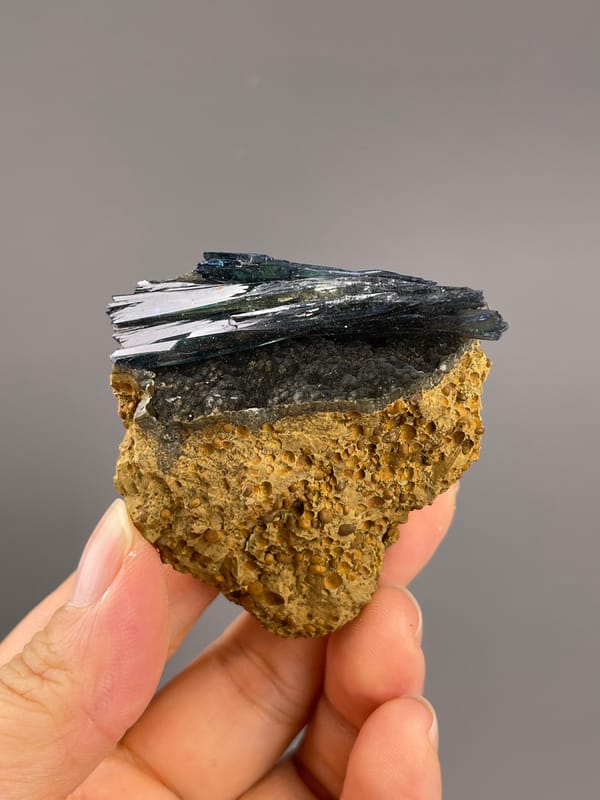 Vivianite from Brazil: angled front view of reflective blades over a pitted base.