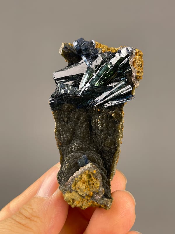 Vivianite from Brazil: upright cluster above a textured matrix recess.